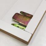 Gabbiano kappersspiegel verlicht b094 goud  3