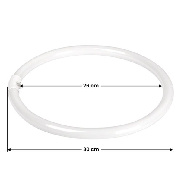 Bol (fluorescerend) voor Ringlamp 12 "35W  2