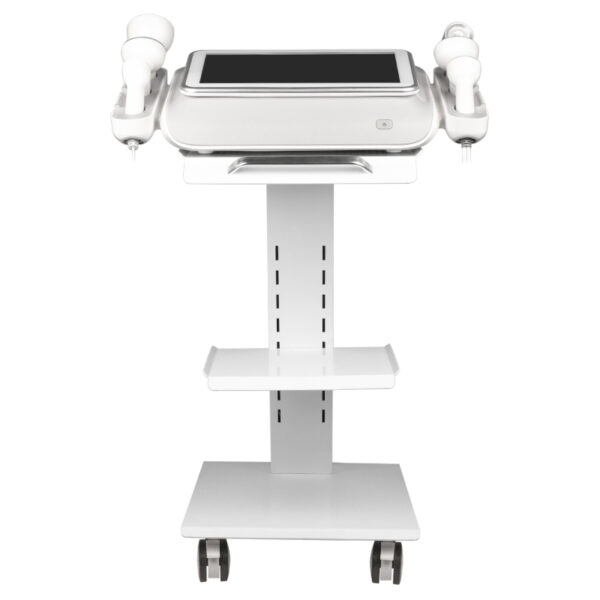 Het elegante platina T6 body slimming -systeem  9