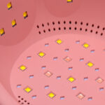 Lamp uv led u11 84w humor  8