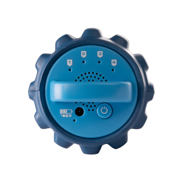 Levendige blauwe trainingsroller  2