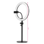 Ringlamp Ringlamp 10 "8W LED Zwart  2
