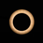 Snake Ring LED -lamplamp op een bureau Zwart  5