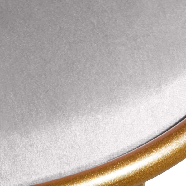 Stoel Velvet MT-309 grijs  5