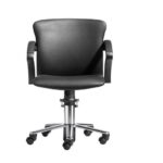 Dames kappersstoel Phlox II Met Verstelbare Rug ( en wieltjes rem)