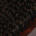 BAARDBORSTEL H103 - Afbeelding 5