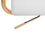 Cosmetische behandelstoel QS-OF211G goud lichtgrijs 6