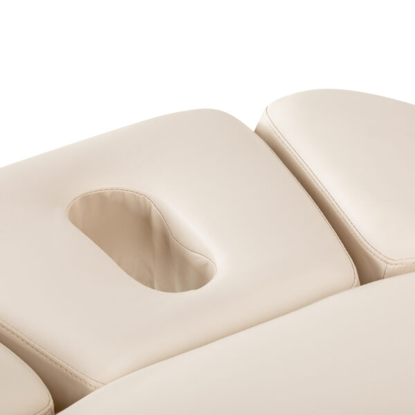 Elektrische SPA-ligstoel Sillon Leisure Premium 8