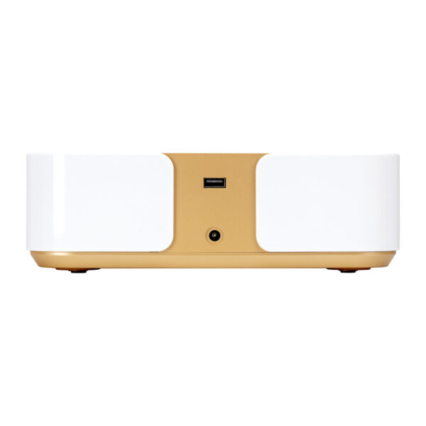 Stofafzuiger Momo P30 60W witgoud 7