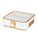Stofafzuiger Momo P30 60W witgoud 1