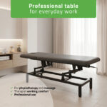 VIGO 2 massagetafel met verstelbare rugleuning donkergrijs Habys